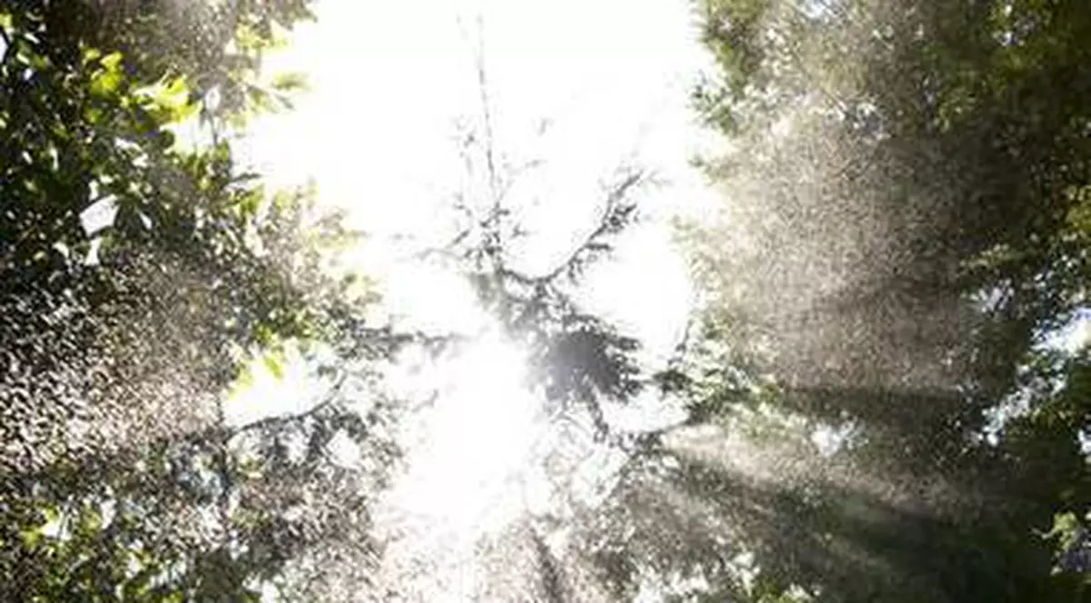 Vremea se încălzește. Vezi prognoza pentru joi și vineri!