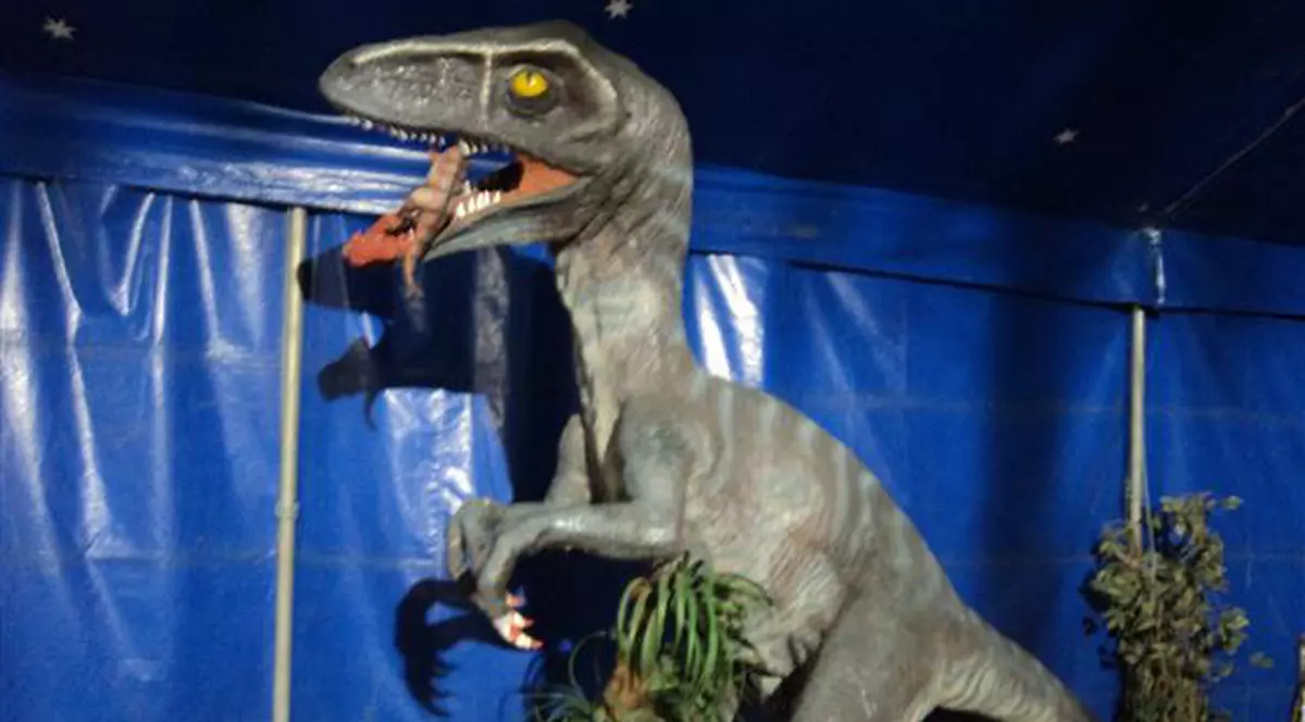 Au apărut dinozaurii! Tyrannosaurus Rex, ce  măsoară 30 de metri, a fost văzut în Parcul Lumea Copiilor                