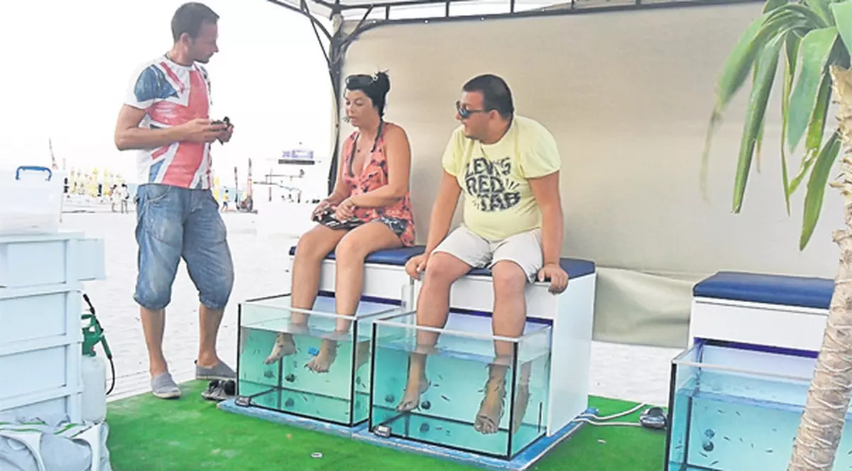Tratamente de fiţe în Mamaia. Turiştii de la mare dau bani să îi ciugulească peştii
