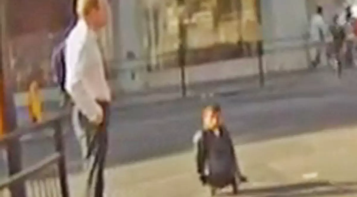 Cerşetor român amendat pentru că face gălăgie