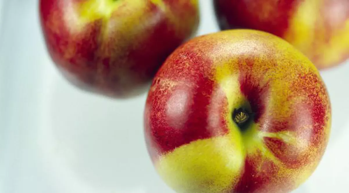 Corcodușul care face prune, caise, piersici și nectarine, plantat în fața unui bloc din Oradea