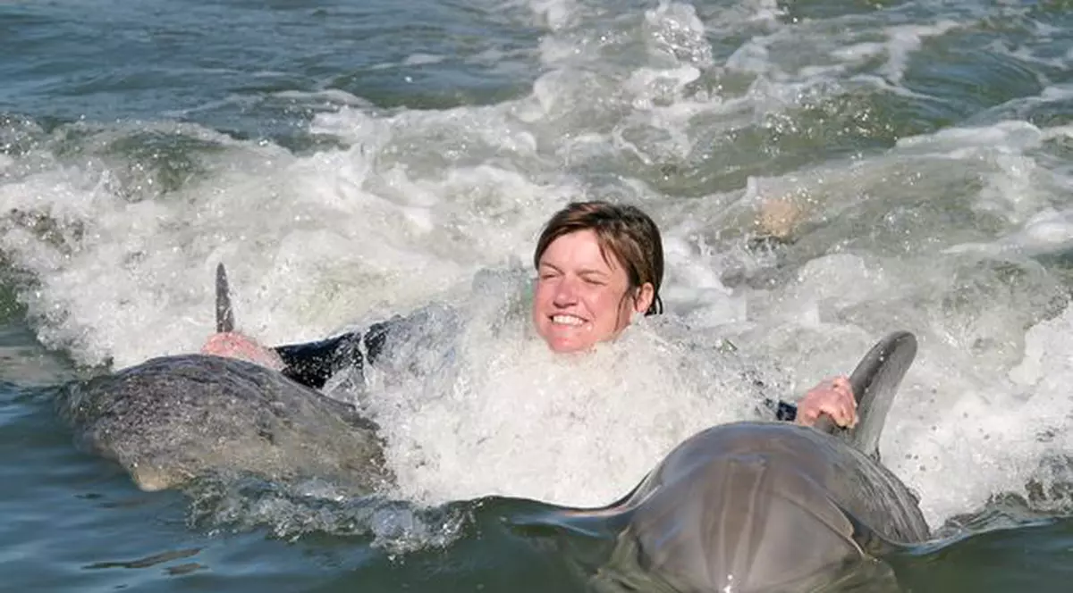 ”Adoptă un delfin”, campanie desfășuartă în Eforie Nord și Vama Veche