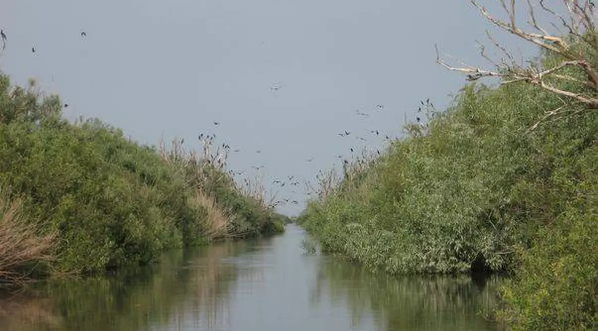 China vrea să investească în dezvoltarea Regiunii Dunării