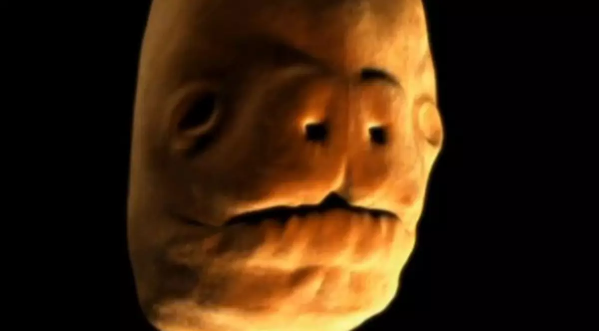 IMAGINILE CARE ÎŢI ARATĂ CUM ÎNCEPE TOTUL! Adevărul care te îngrozeşte