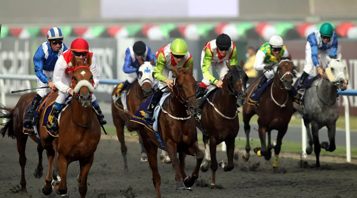 Francezii îşi bat din nou joc de noi! În Hexagon există un cal numit ”Orfan de Roumanie”