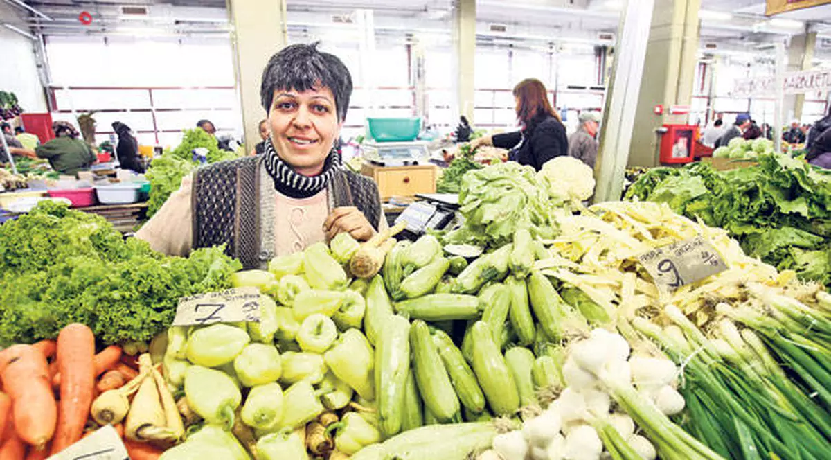Canicula face victime colaterale- legumele româneşti