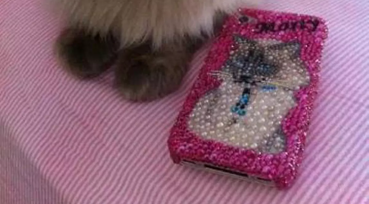 Oana Zăvoranu are husă de telefon cu chipul motanului ei