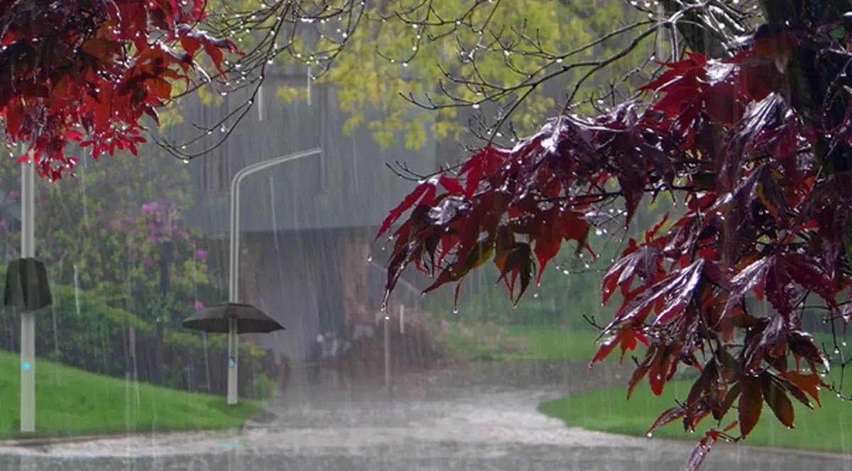 ALERTĂ! Vijelii, averse, descărcări electrice, grindină și ploi torențiale după caniculă