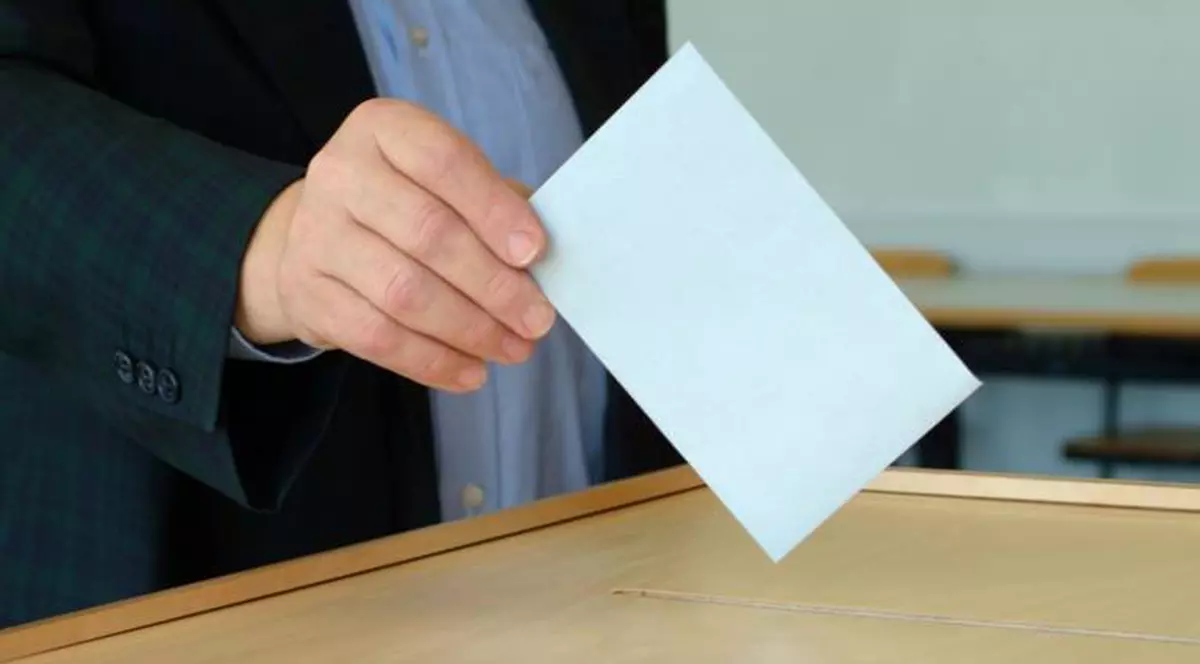 REFERENDUM 2012 | Sesizări de turism electoral în Bacău, Iași, Dâmbovița și Dolj