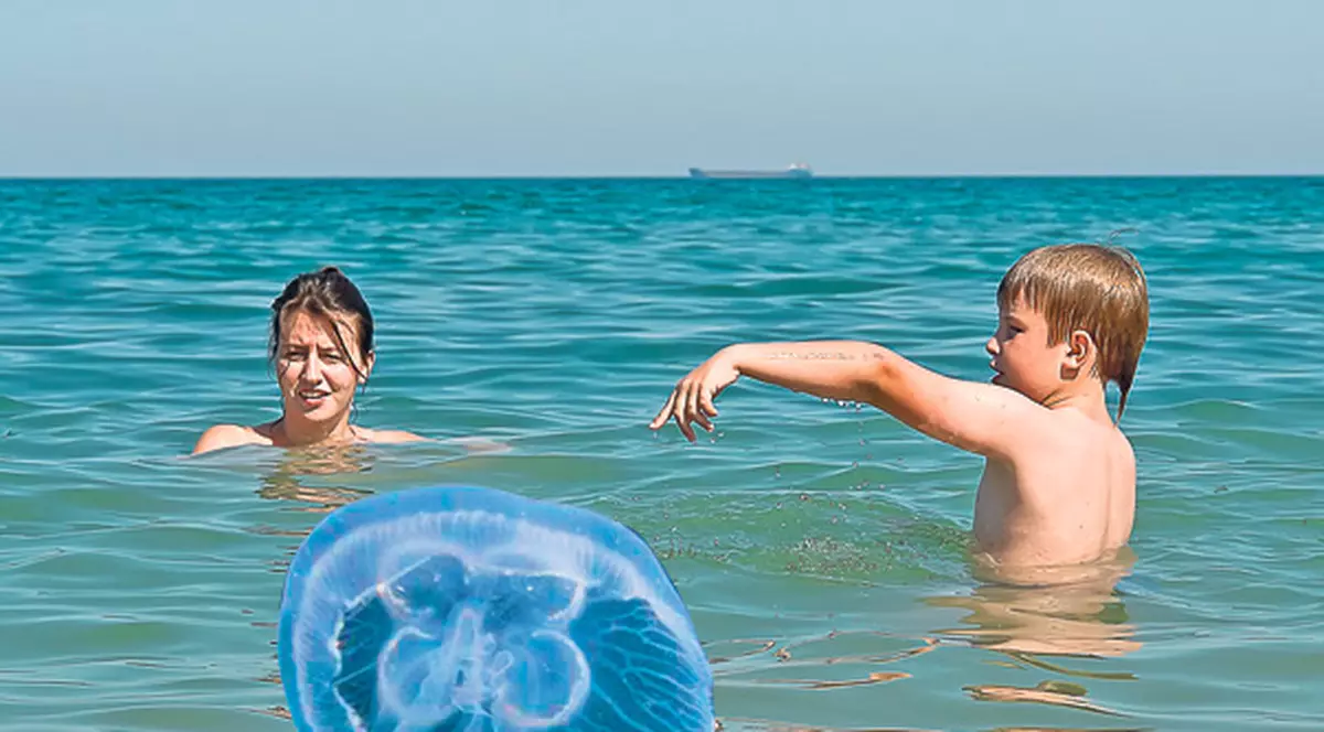 Atenție la pericolele ascunse în apa mării! Ce trebuie să faci când te-a înțepat omeduză