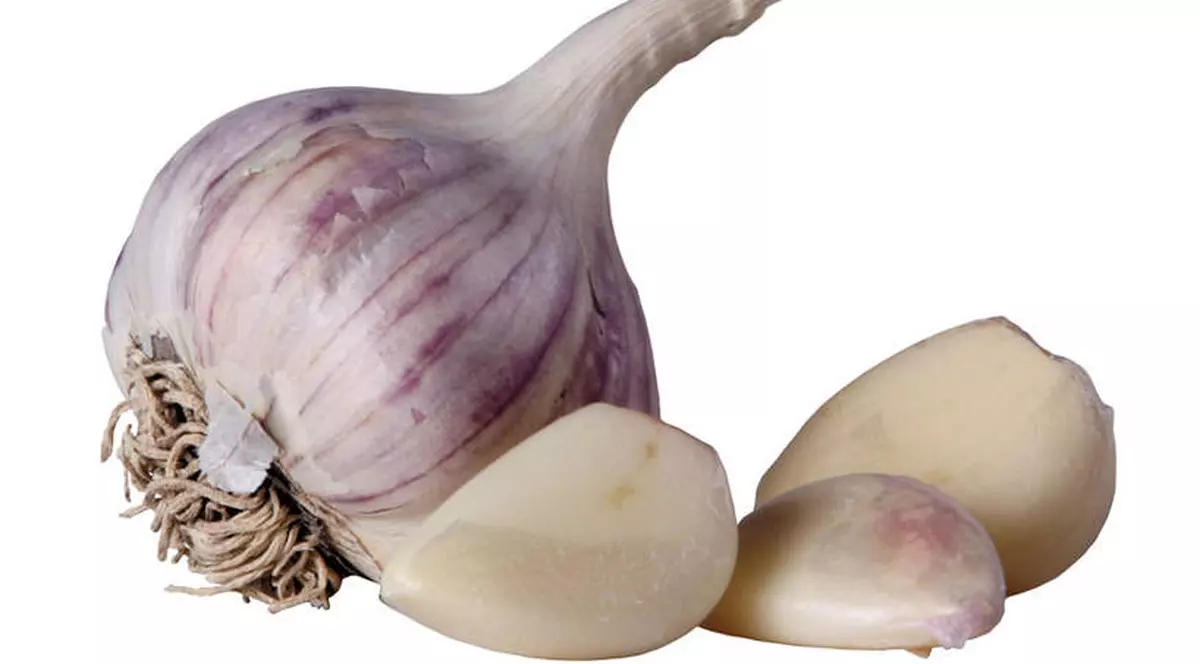 Leacuri pentru VIERMII INTESTINALI