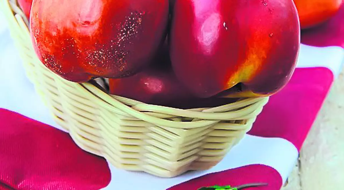 Unde găseşti cele mai ieftine nectarine