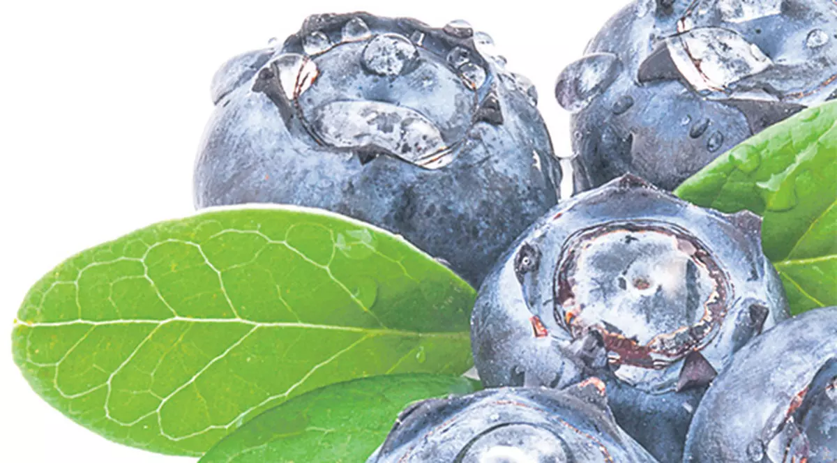 Leacuri pentru hipertensiune