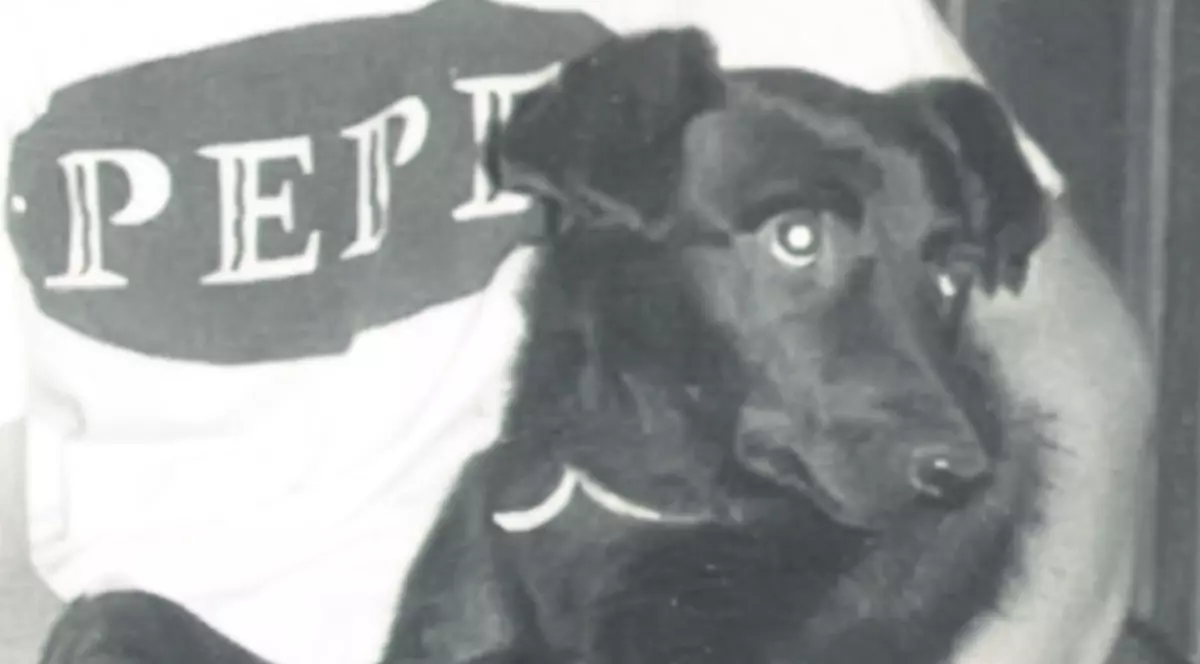 Se mărită «Gogoşica»!