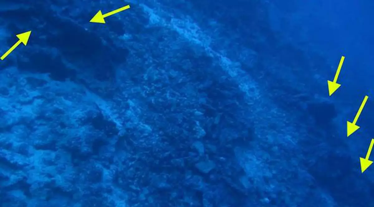UN MISTER VECHI DE 75 DE ANI, APROAPE DE ELUCIDARE. S-a găsit avionul Ameliei Earhart?