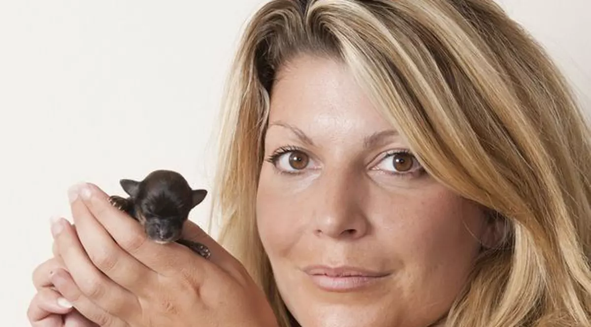 SIMPATIC FOC! Cel mai mic cățel din lume cântărește mai puțin decât un ou! | FOTO