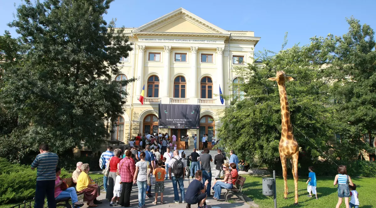 Girafa distrusă la Muzeul "Antipa" va fi înlocuită cu un ”elefant” preistoric 