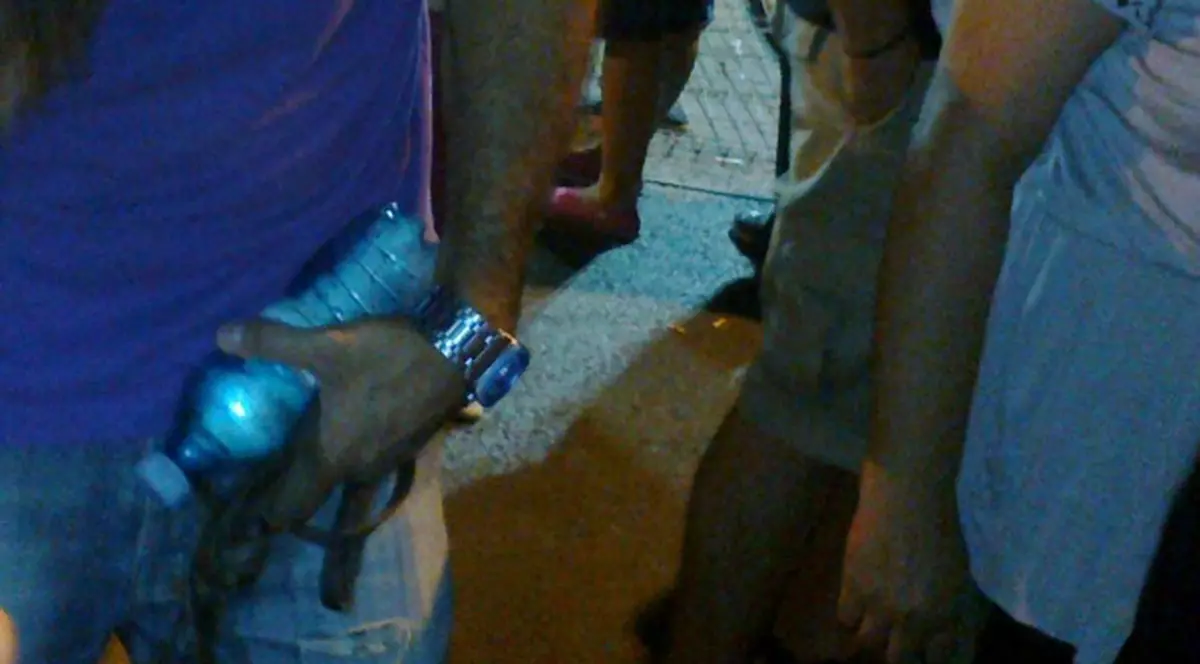 Personajul-surpriză care protestează în Piaţa Universităţii | FOTO