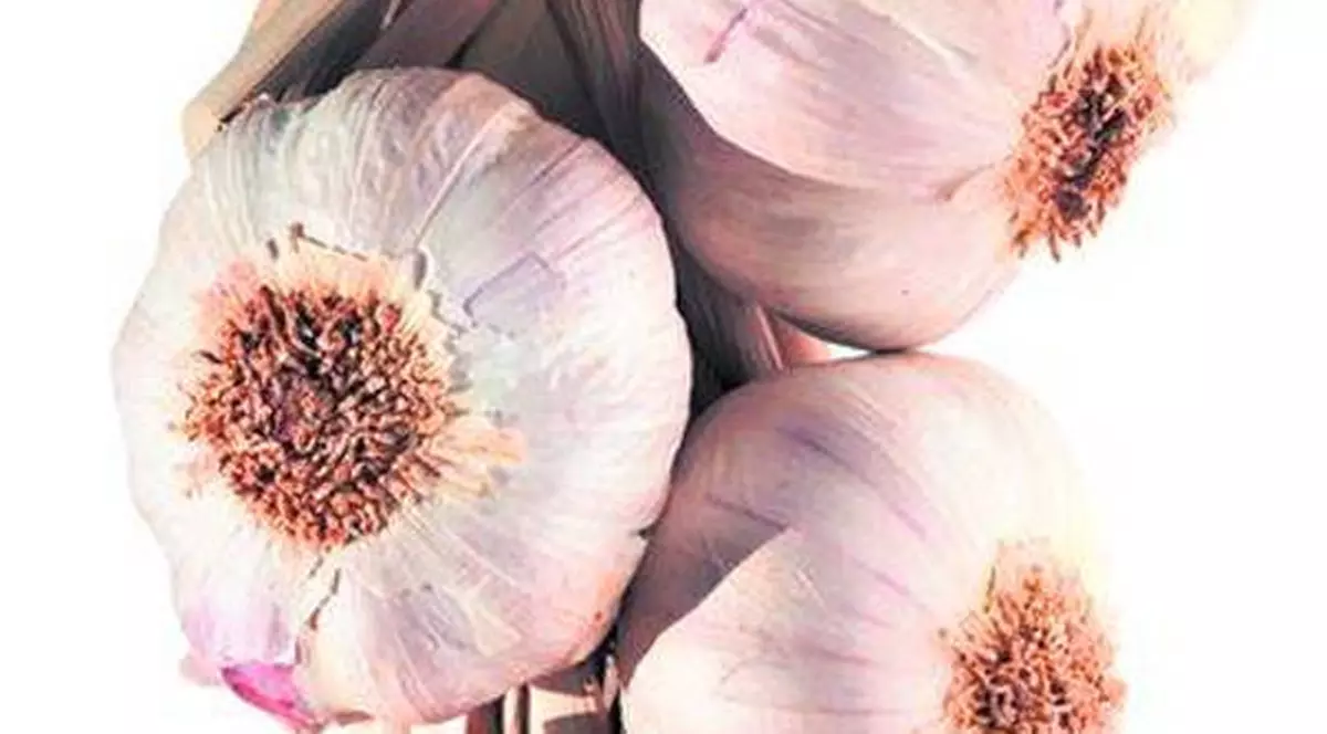 Usturoiul, leacul bun la toate! Vezi ce beneficii are dacă îl consumi