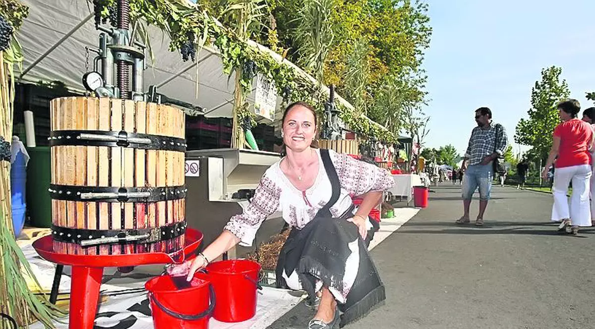 Zilele Bucureştiului, motiv de bucurie / Hai la must şi la spectacole!