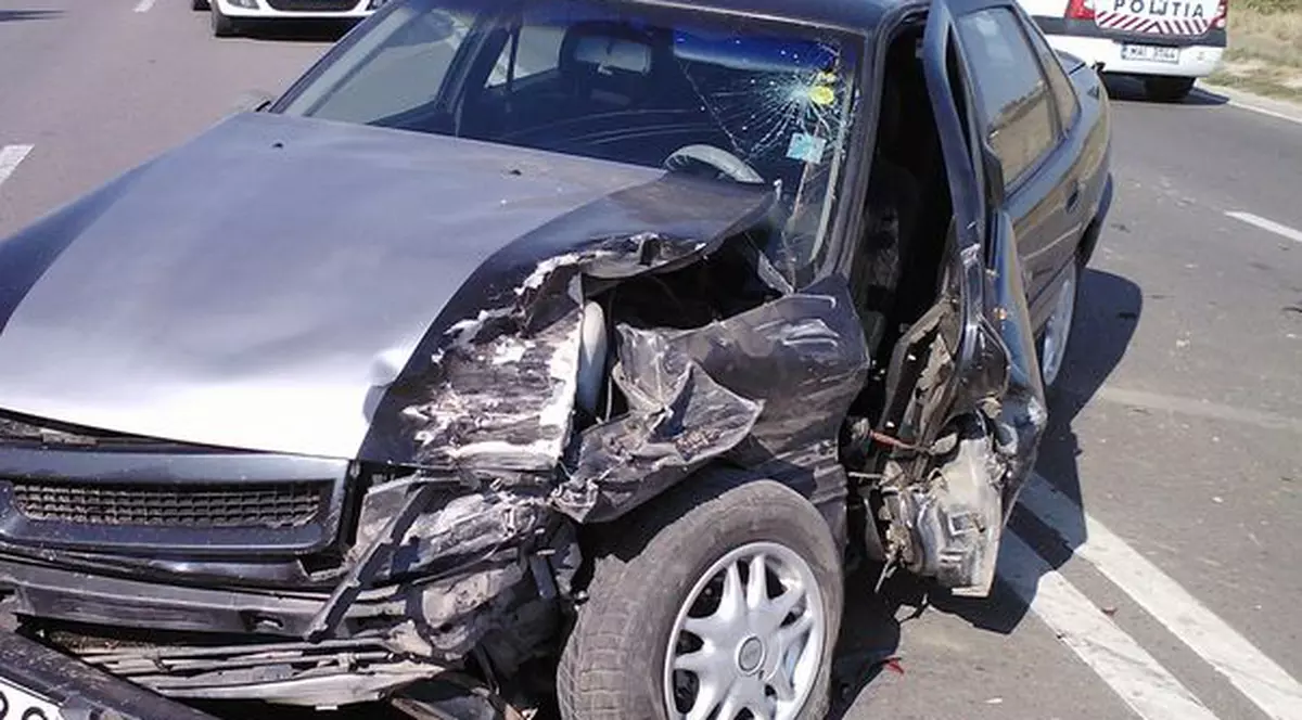 Printr-o minune au scăpat cu viaţă dintre fiarele acestea!