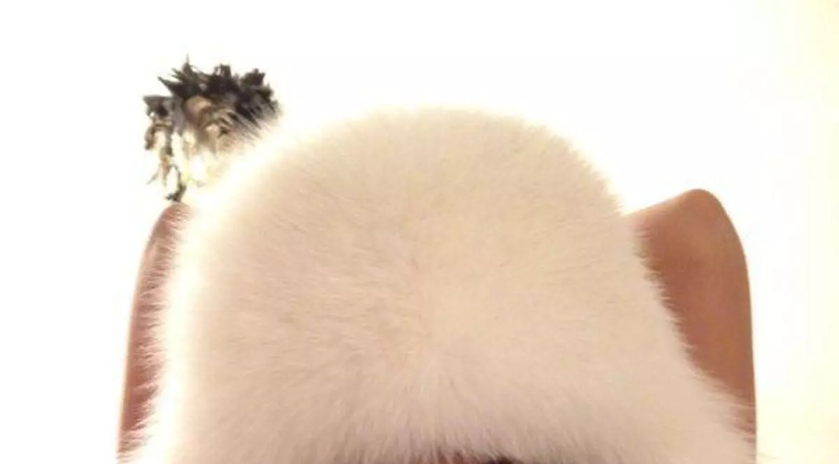 Pestriţa, cu vulpea-n cap! Iată fotografia cu care şi-a înnebunit fanii!