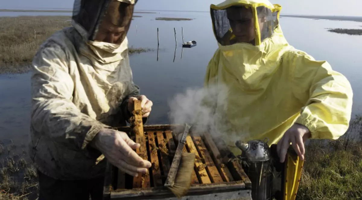 SITUAŢIE MISRERIOASĂ în New York: "Parcă sunt ZOMBIE! Devin agitate noaptea, iar apoi cad şi mor!"