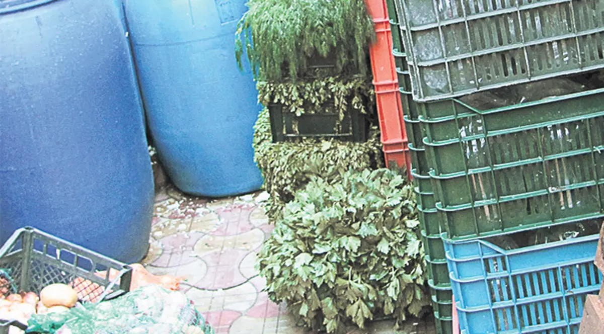 Mâncarea de la cantină, expirată de şase luni!