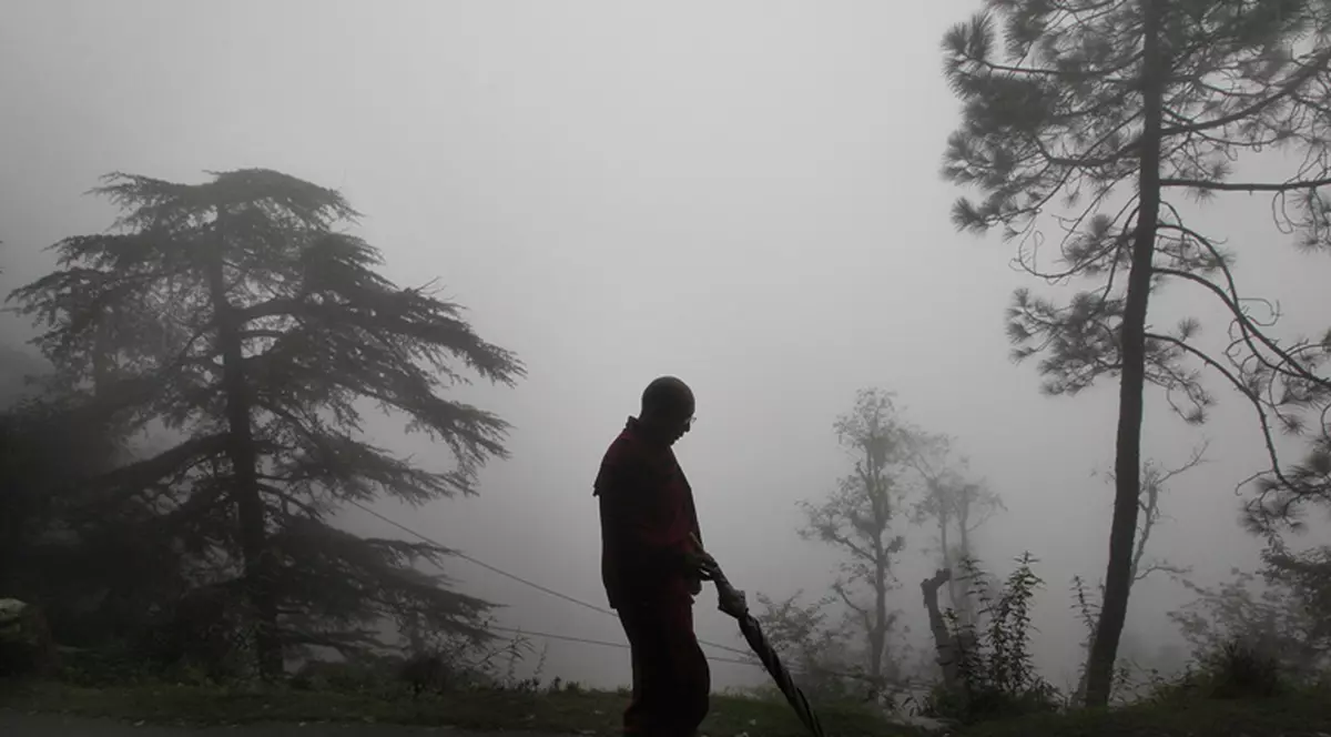 Comportament ULUITOR al unui călugăr care a consumat fructe HALUCINOGENE! A fost găsit COMPLET GOL, rătăcind prin pădure!