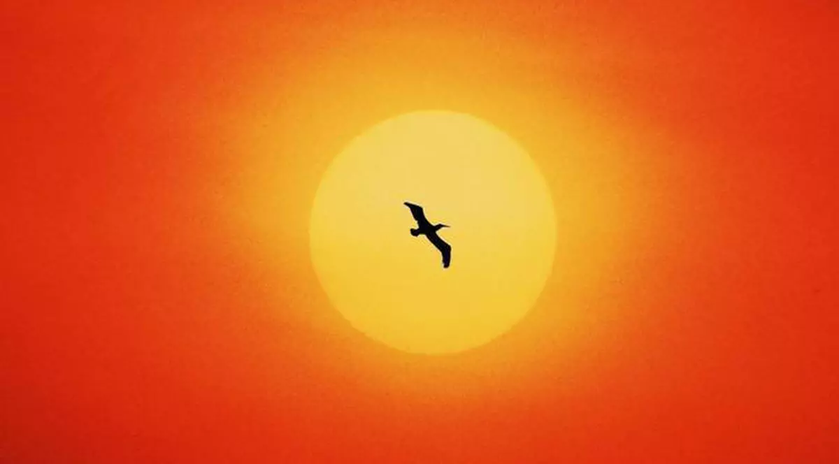 În 20 de ani, VIAŢA PE PĂMÂNT SE VA SCHIMBA! Află care sunt PREVIZIUNILE NEGRE 