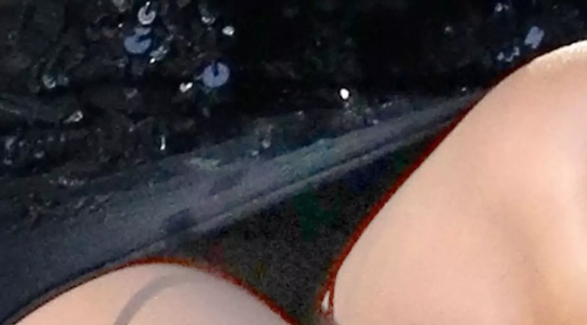 ŞI EA??? O super-vedetă cu CHILOŢII LA VEDERE pe scenă | FOTO