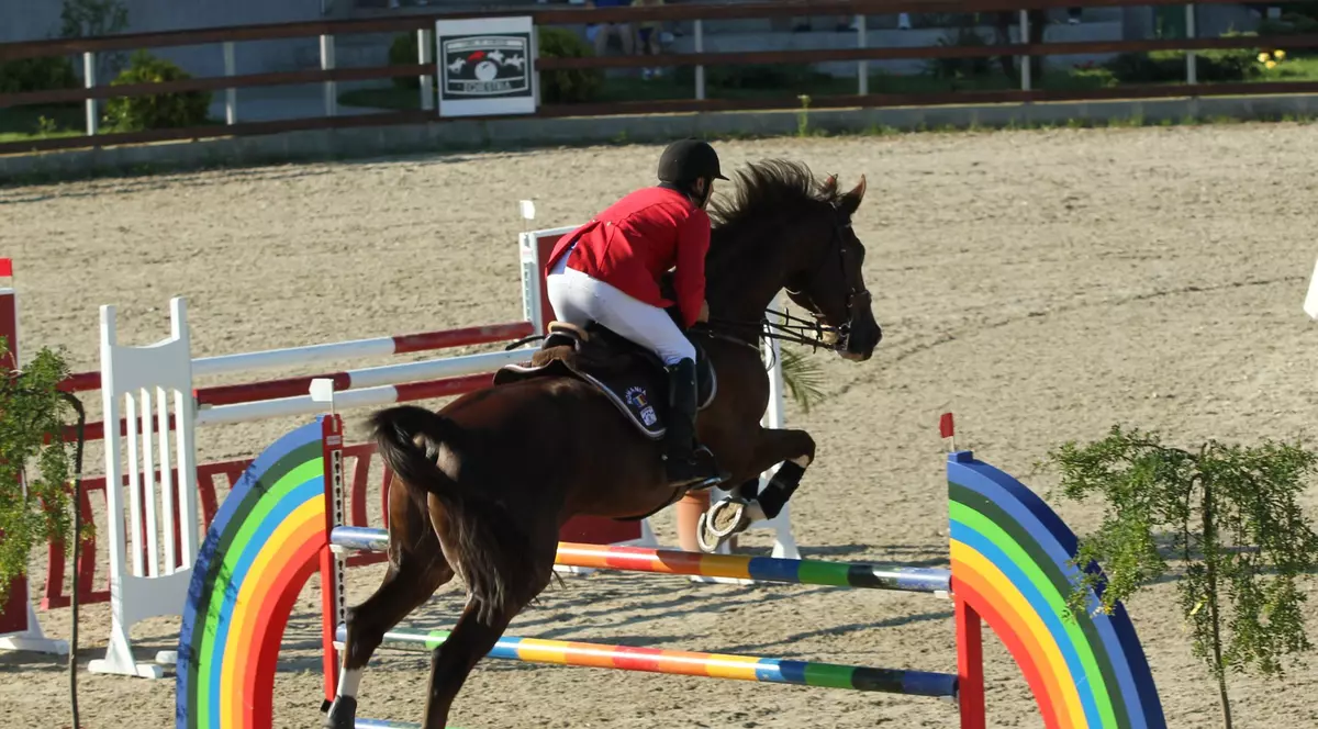 Premieră cu ştaif în România: Salonul calului