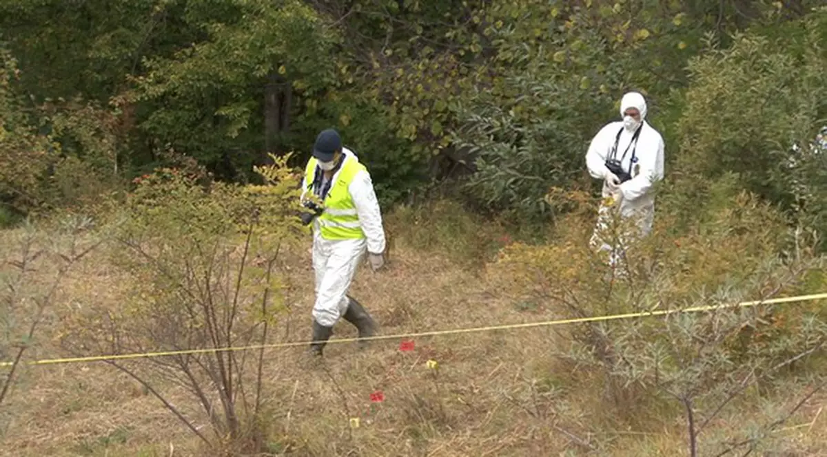 Câini dresaţi la Sibiu, trimişi să găsească ursul ucigaş din Dâmboviţa
