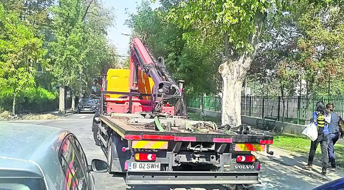 Iată-i pe «hingherii de maşini» cum stau la vânătoare