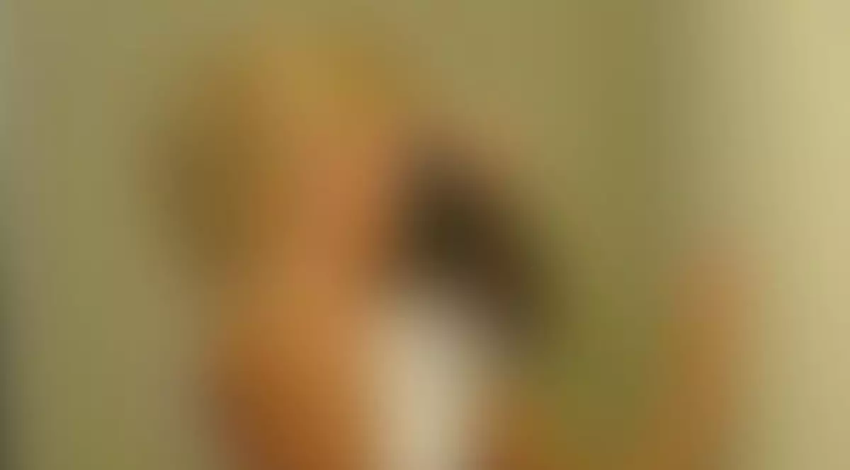 Andreea Ibacka se pozează ca PIȚIPOANCELE