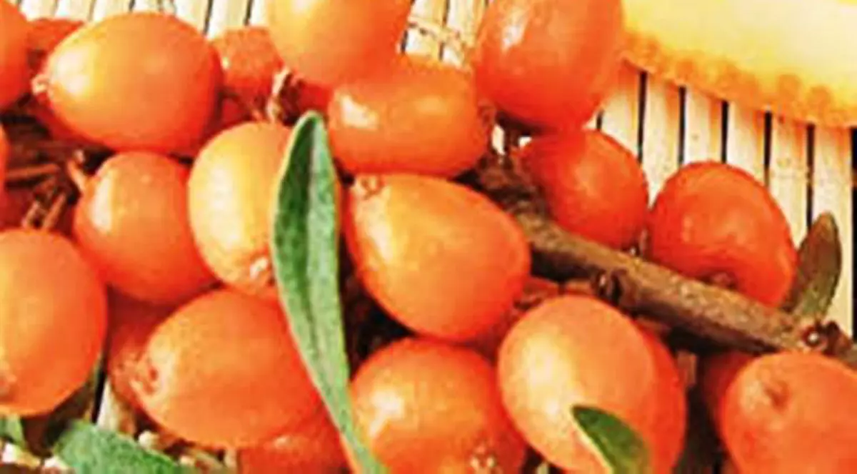 Vrei să scapi de kilogramele în plus? Consumă cătină