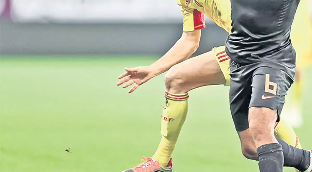 Ne-am obişnuit să petrecem după umilinţe. Vezi explicaţia lui Ciprian Marica pentru masa tovărăşească alături de Adi Mutu şi de olandezii Van Persie, Afellay şi De Jong!