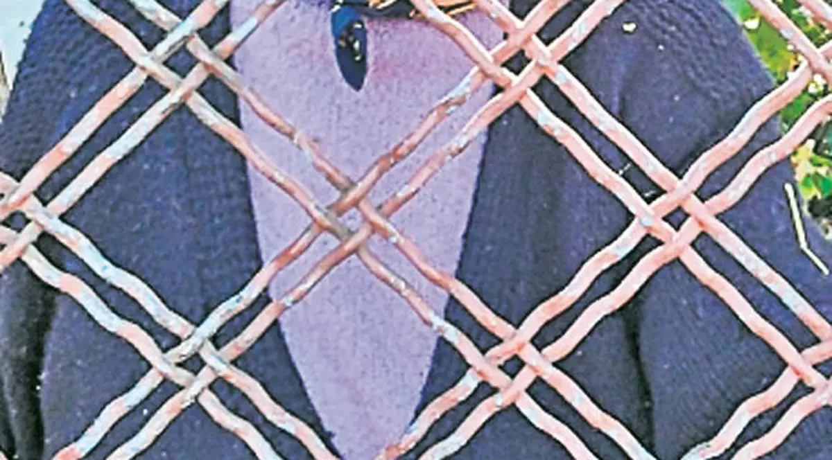 O clujeancă de 87 de ani încă mai are încredere în cinstea românilor | Ea pune florile la poartă, oamenii îi lasă banii în cutia poştală