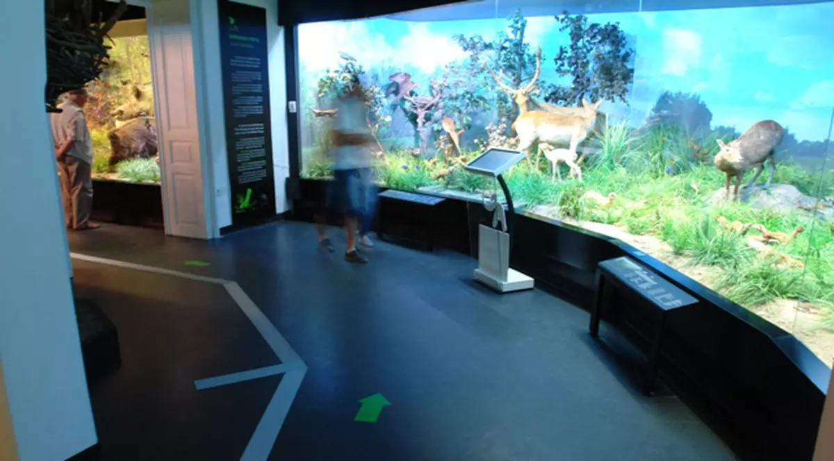 ”Antipa”, primul muzeu din România care poate fi ”citit” şi cu telefonul mobil!