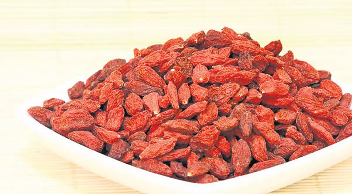 Fructele goji te apără de boli. Află cum să le incluzi în dieta ta zilnică