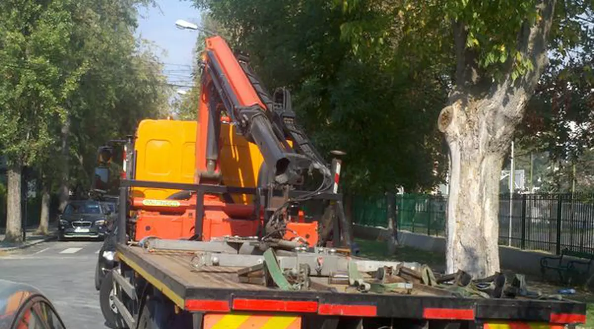 Uite-i pe ”hingherii de maşini” cum stau la vănătoare