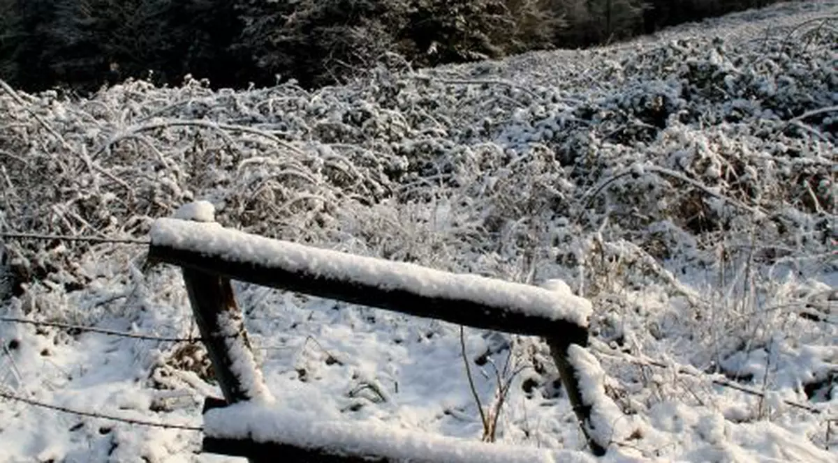 IARNA face victime în EUROPA. VEZI ţările în care A NINS abundent