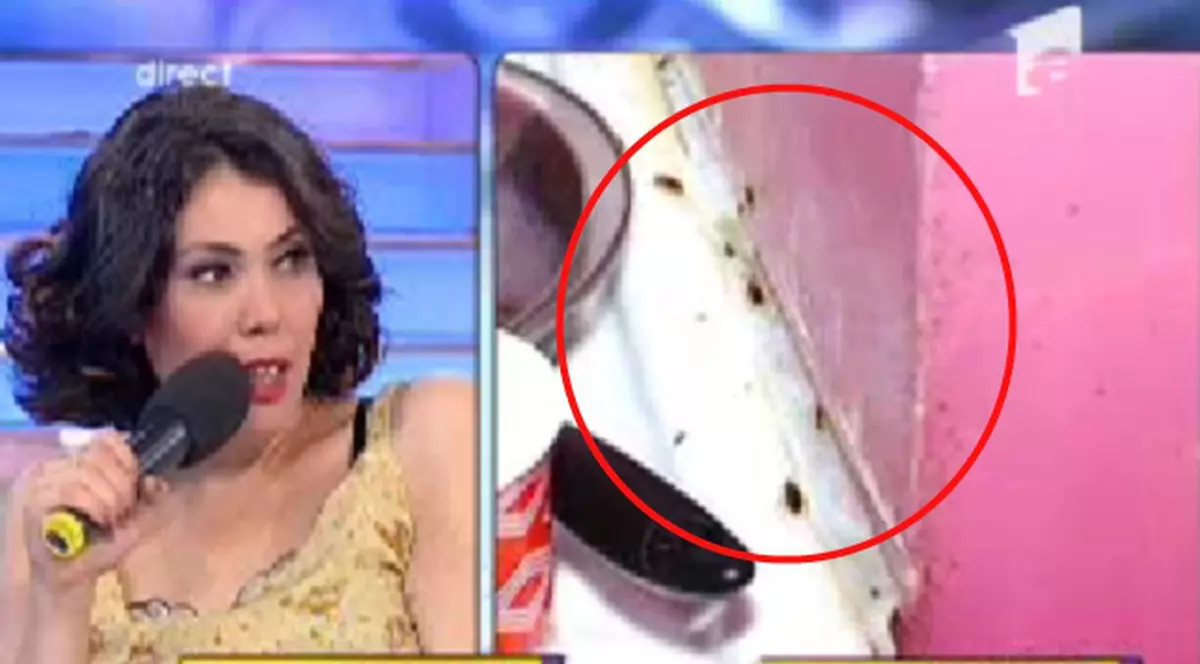 ŞOCANT! Ioana Tufar, fiica Andei Călugăreanu: "DA, AM MILIOANE DE GÂNDACI ÎN CASĂ!" | FOTO