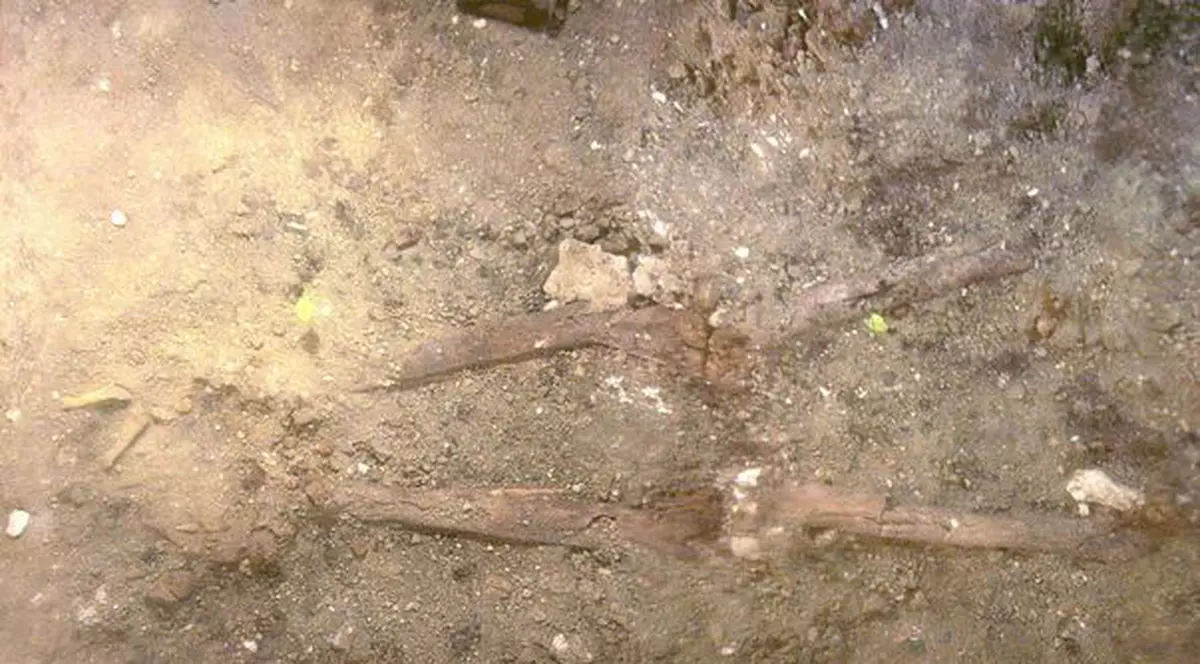 S-a descoperit mormântul unei REGINE RĂZBOINICE MAYAŞE. Ai imaginea UNICĂ a LOCULUI DE VECI