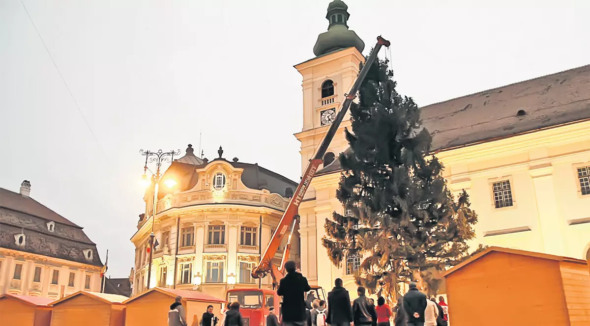 BRAZII de Crăciun, în PIEȚELE DIN București. UNDE îi poți GĂSI?