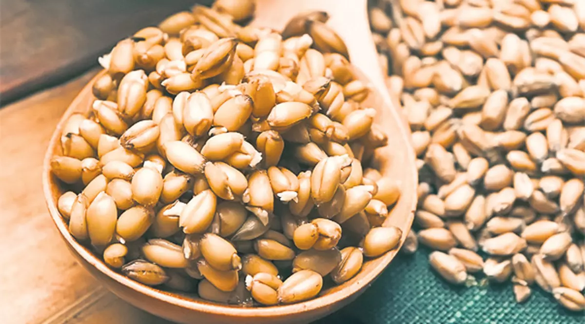 Germenii de grâu, rezultate UIMITOARE pentru sănătate 