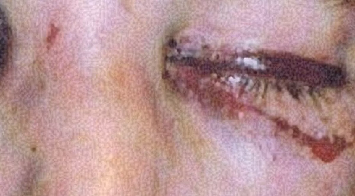 În ce HAL arată FOSTUL iubit al lui HALLE BERRY, după ce și-a LUAT OMOR de la actualul actriței! FOTO