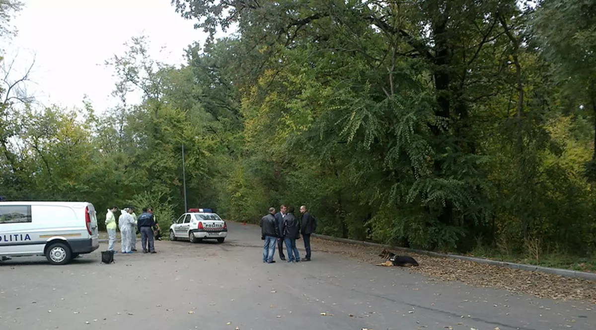 Femeie găsită moartă în Pădurea Băneasa