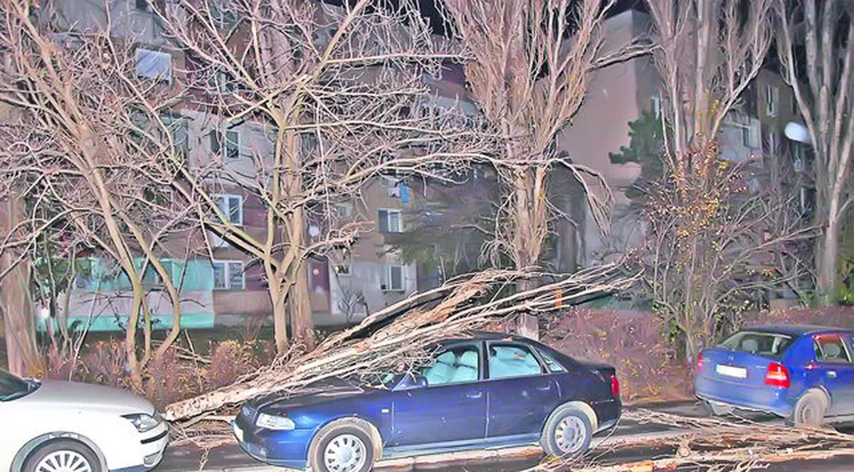 În prima noapte după ce vremea s-a răcit, au apărut şi primele incidente: Vântul a făcut ravagii!