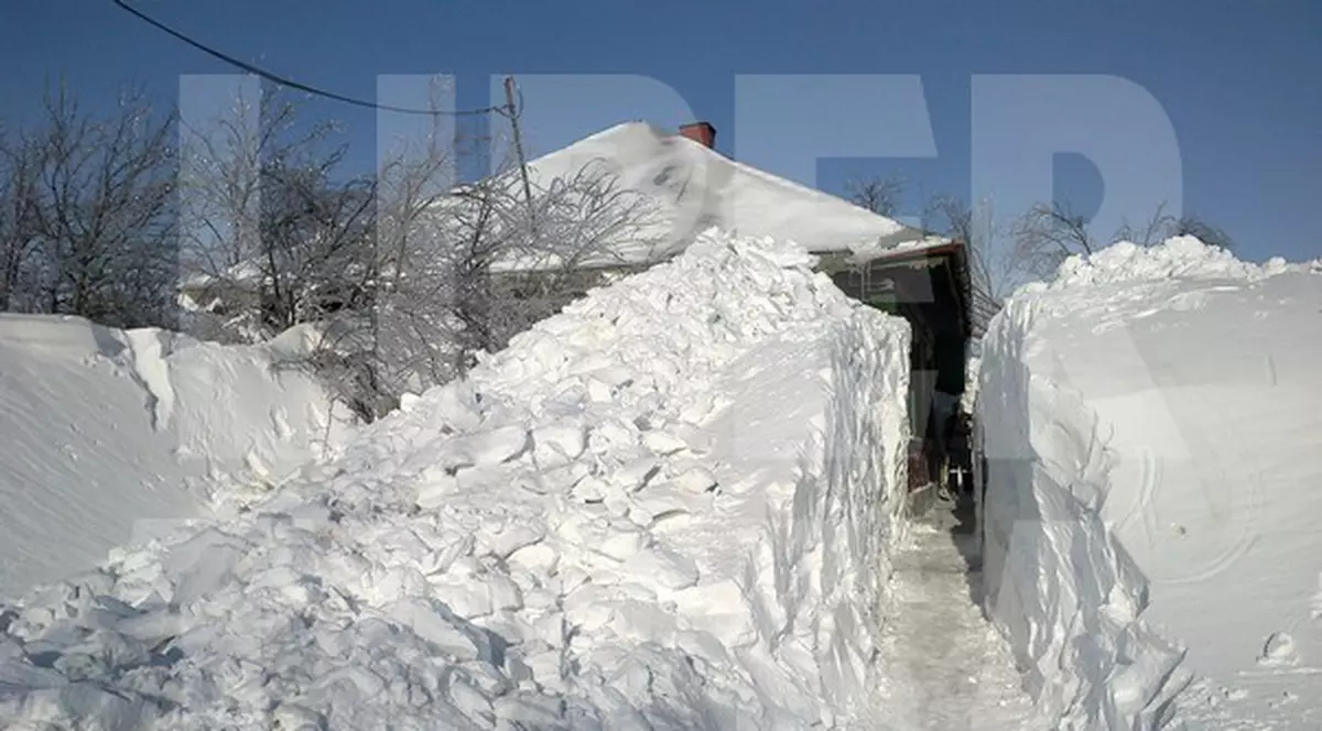 Oamenii din județele Vaslui și Botoșani, SALVAȚI de militari din NĂMEȚI